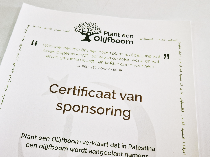 certificaten-olijfboom-linnenpersing